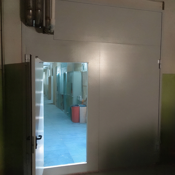 Ворота с дверью