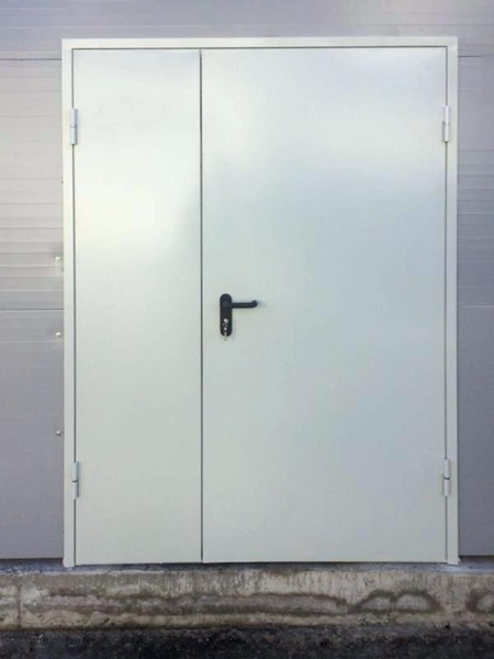 Глухая полуторная дверь