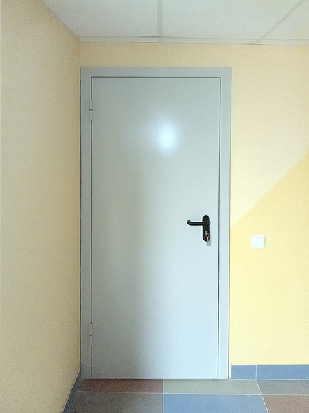 Глухая однопольная дверь