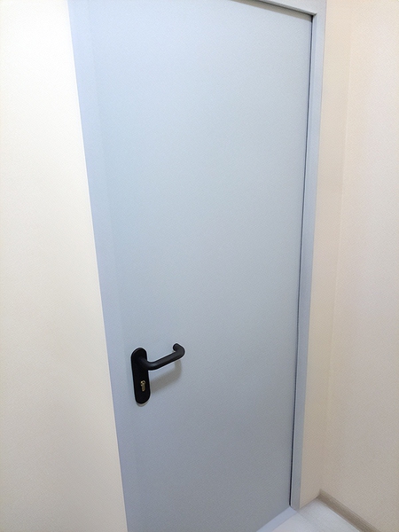 Глухая однопольная дверь