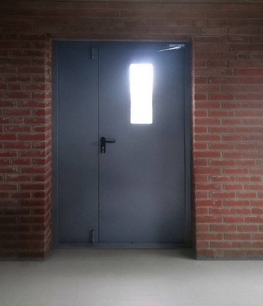 Полуторная дверь с окном