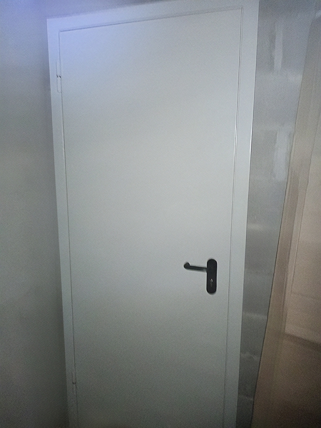 Глухая противопожарная дверь