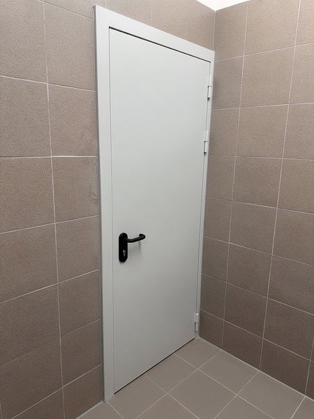 Глухая огнезащитная дверь