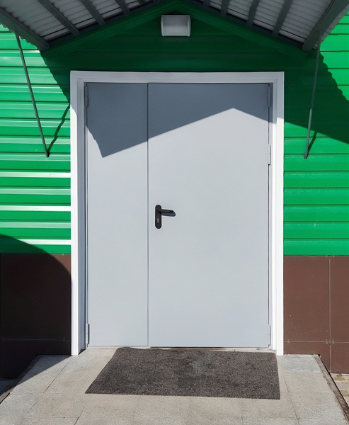 Полуторная уличная дверь