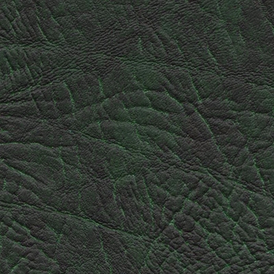 №19