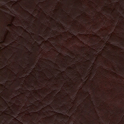 №29