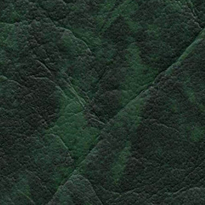 №31