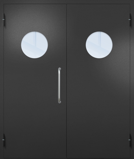 Двупольная техническая дверь с ручкой-скобой и круглыми стеклопакетами, окрас по RAL 9004 Двупольная техническая дверь с ручкой-скобой и круглыми стеклопакетами, окрас по RAL 9004