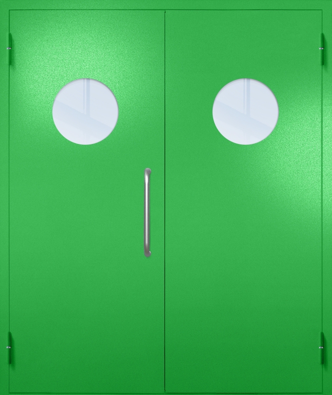 Двупольная техническая дверь с ручкой-скобой и круглыми стеклопакетами, окрас по RAL 6037