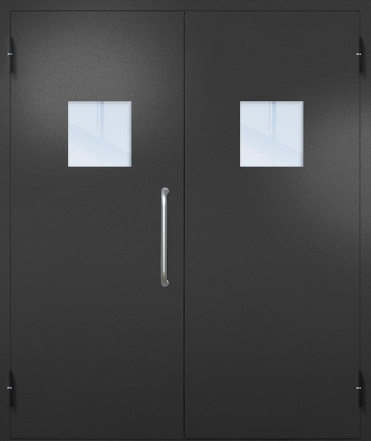 Двупольная техническая дверь с ручкой-скобой и квадратными стеклопакетами, окрас по RAL 9004 Двупольная техническая дверь с ручкой-скобой и квадратными стеклопакетами, окрас по RAL 9004