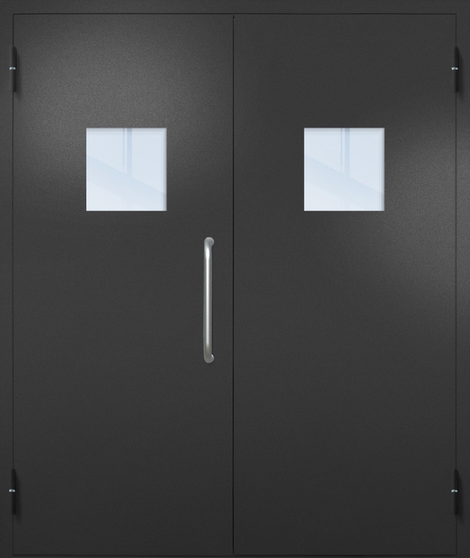 Двупольная техническая дверь с ручкой-скобой и квадратными стеклопакетами, окрас по RAL 9004