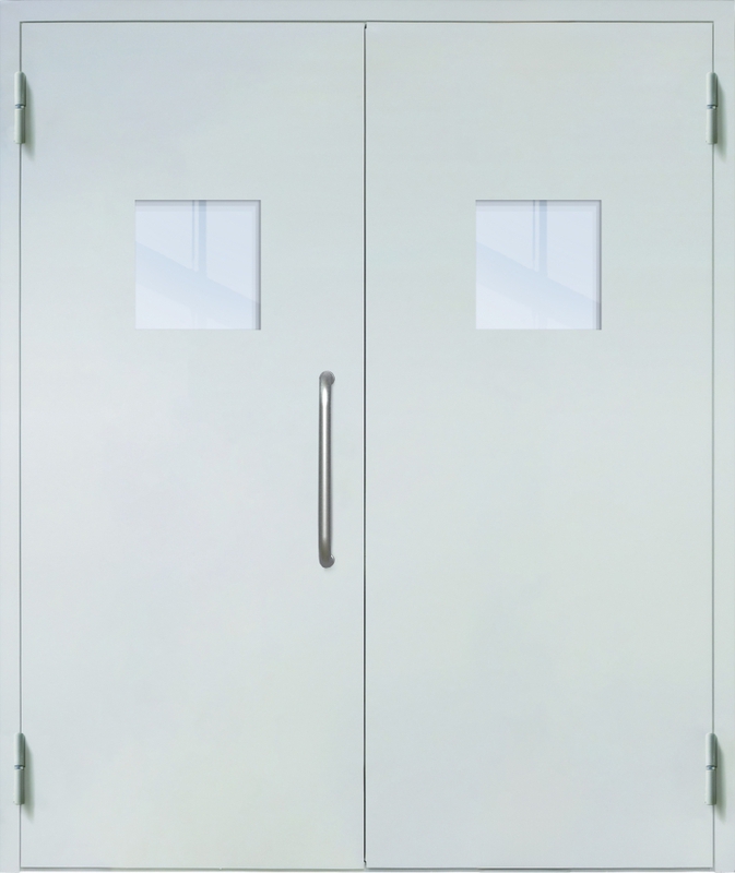 Двупольная техническая дверь с ручкой-скобой и квадратными стеклопакетами, окрас по RAL