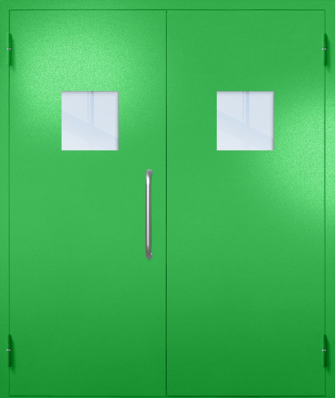 Двупольная техническая дверь с ручкой-скобой и квадратными стеклопакетами, окрас по RAL 6037