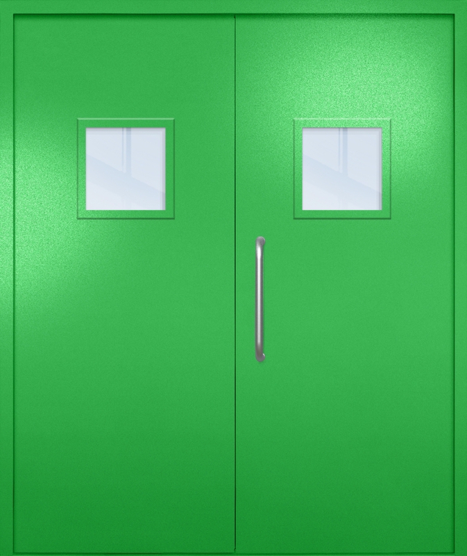 Двупольная техническая дверь с ручкой-скобой и квадратными стеклопакетами, окрас по RAL 6037