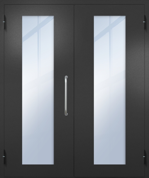 Двупольная техническая дверь с ручкой-скобой и максимальными стеклопакетами, окрас по RAL 9004