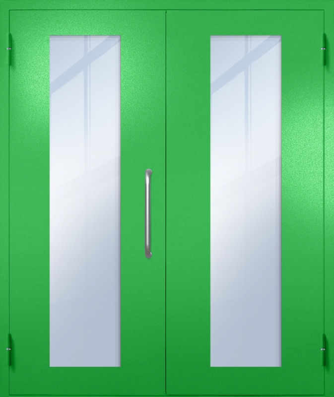 Двупольная техническая дверь с ручкой-скобой и максимальными стеклопакетами, окрас по RAL 6037