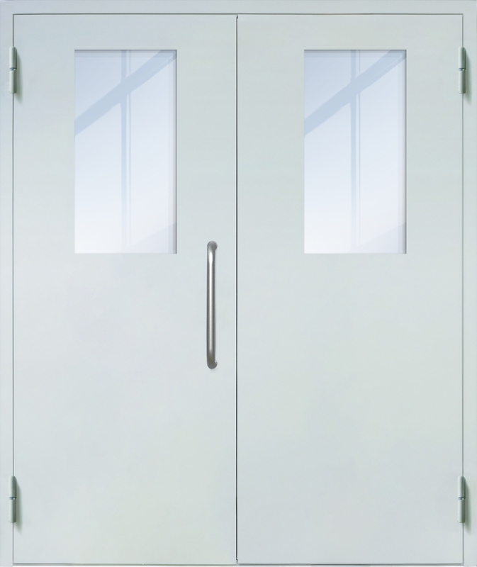 Двупольная техническая дверь с ручкой-скобой и широкими стеклопакетами, окрас по RAL