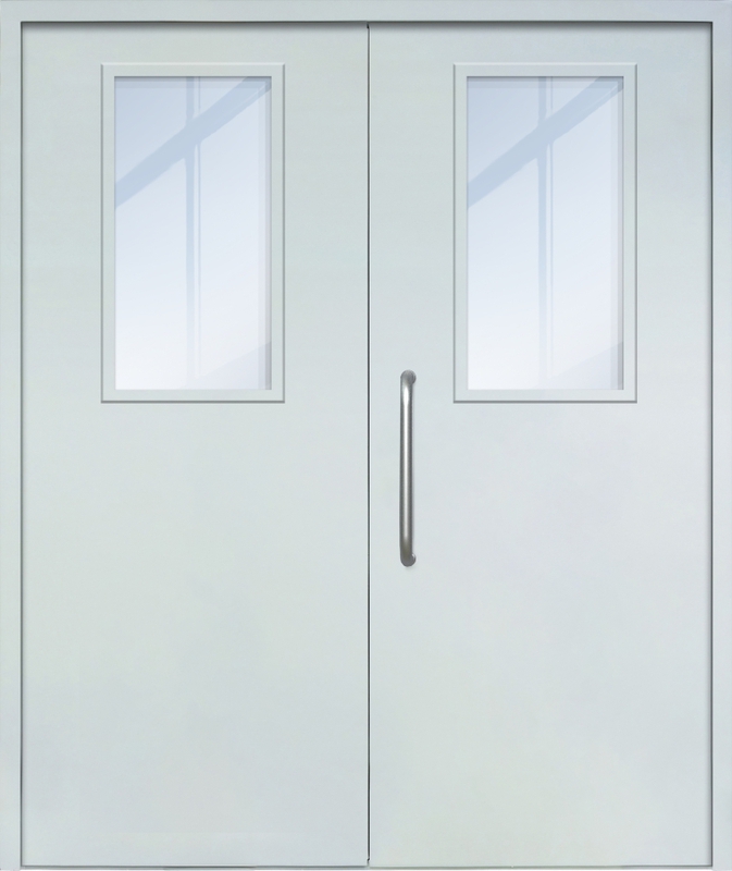 Двупольная техническая дверь с ручкой-скобой и широкими стеклопакетами, окрас по RAL