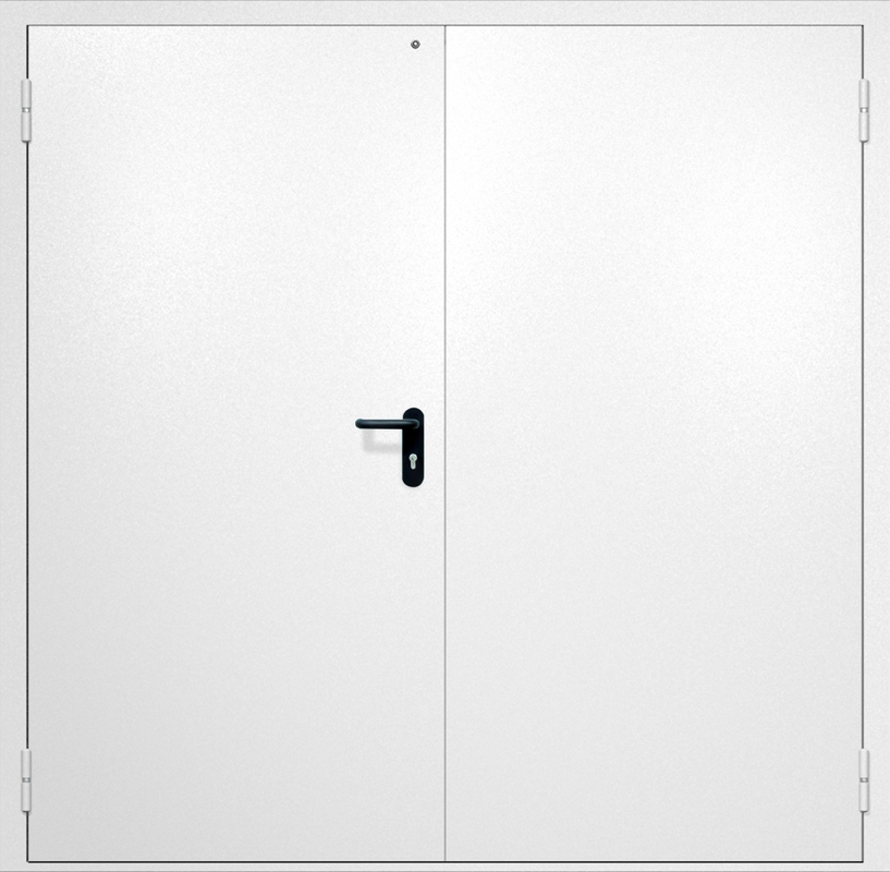Двупольная противопожарная дверь EI-60 с электромагнитным замком, окрас по RAL 9003 Двупольная противопожарная дверь EI-60 с электромагнитным замком, окрас по RAL 9003
