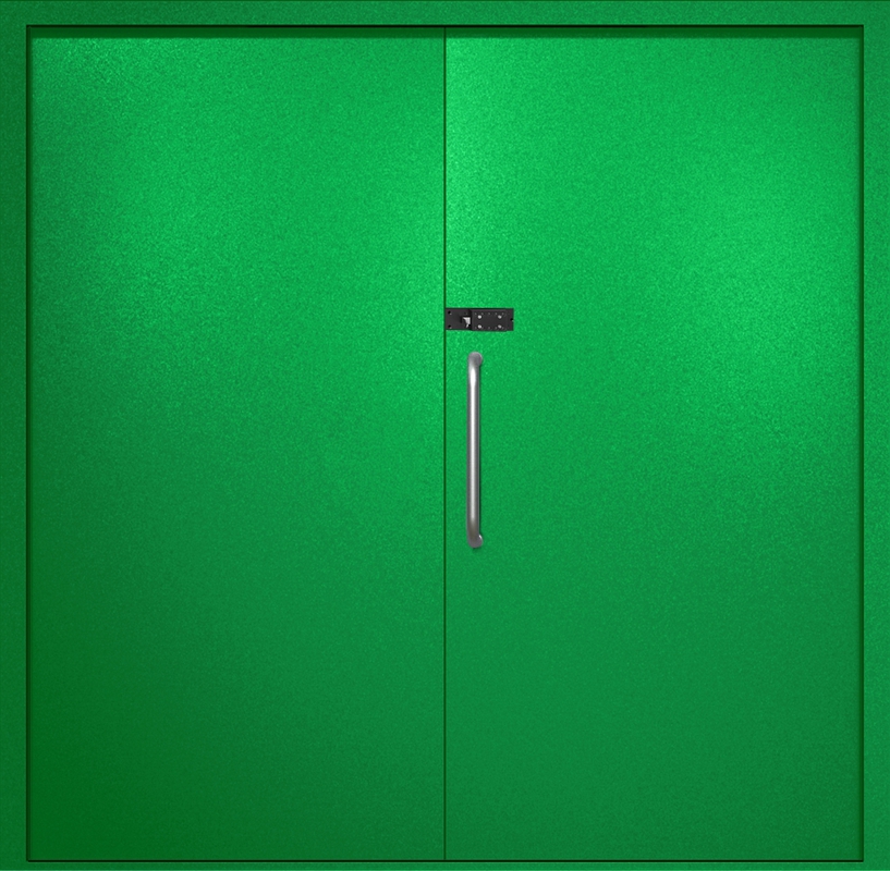 Двупольная техническая дверь с ручкой-скобой и кодовым замком, окрас по RAL 6037