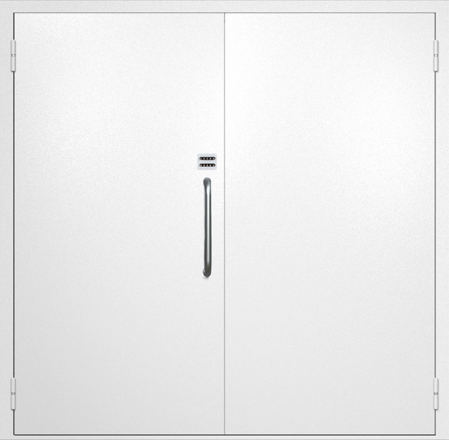 Двупольная техническая дверь с ручкой-скобой и кодовым замком, окрас по RAL 9003