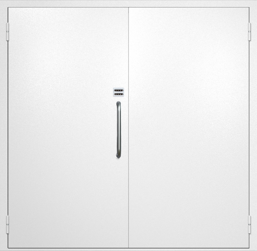 Двупольная техническая дверь с ручкой-скобой и кодовым замком, окрас по RAL 9003 Двупольная техническая дверь с ручкой-скобой и кодовым замком, окрас по RAL 9003