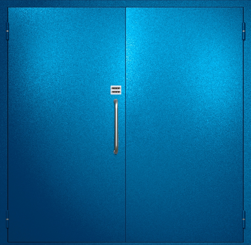 Двупольная техническая дверь с ручкой-скобой и кодовым замком, окрас по RAL 5002