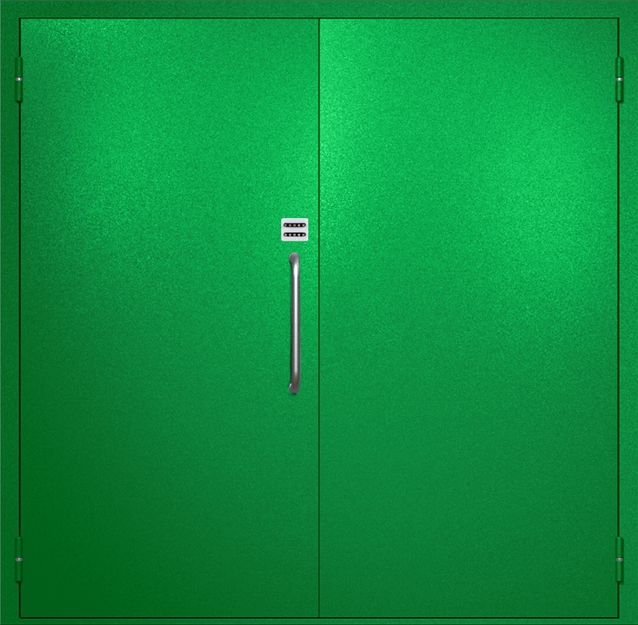 Двупольная техническая дверь с ручкой-скобой и кодовым замком, окрас по RAL 6037