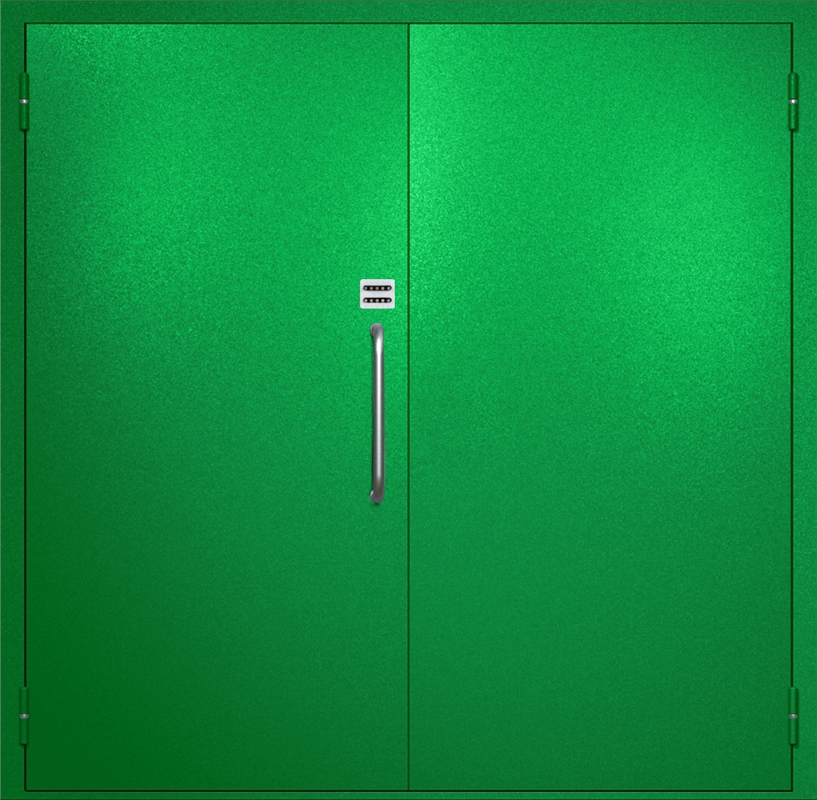 Двупольная техническая дверь с ручкой-скобой и кодовым замком, окрас по RAL 6037