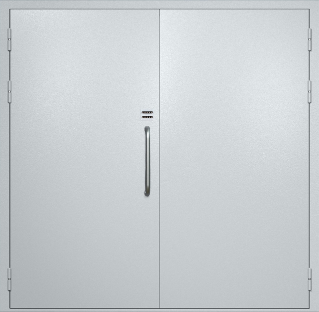 Двупольная техническая дверь с ручкой-скобой и кодовым замком, окрас по RAL