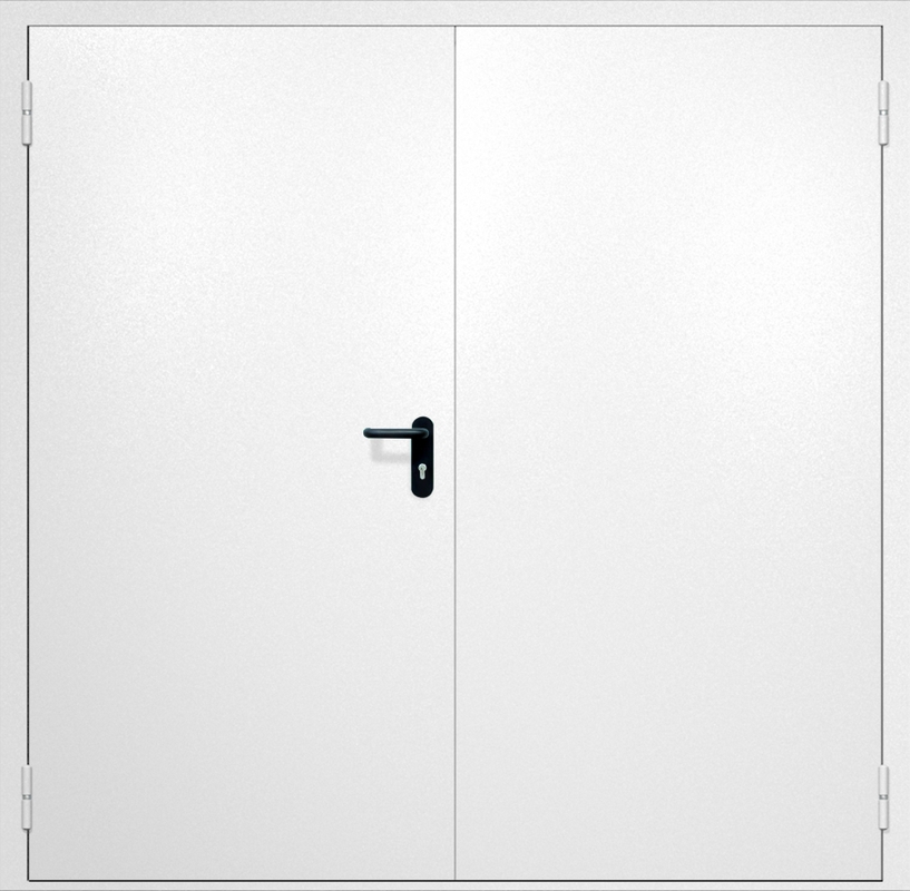 Двупольная противопожарная дверь EI-60 с ручками «Антипаника», окрас по RAL 9003 Двупольная противопожарная дверь EI-60 с ручками «Антипаника», окрас по RAL 9003