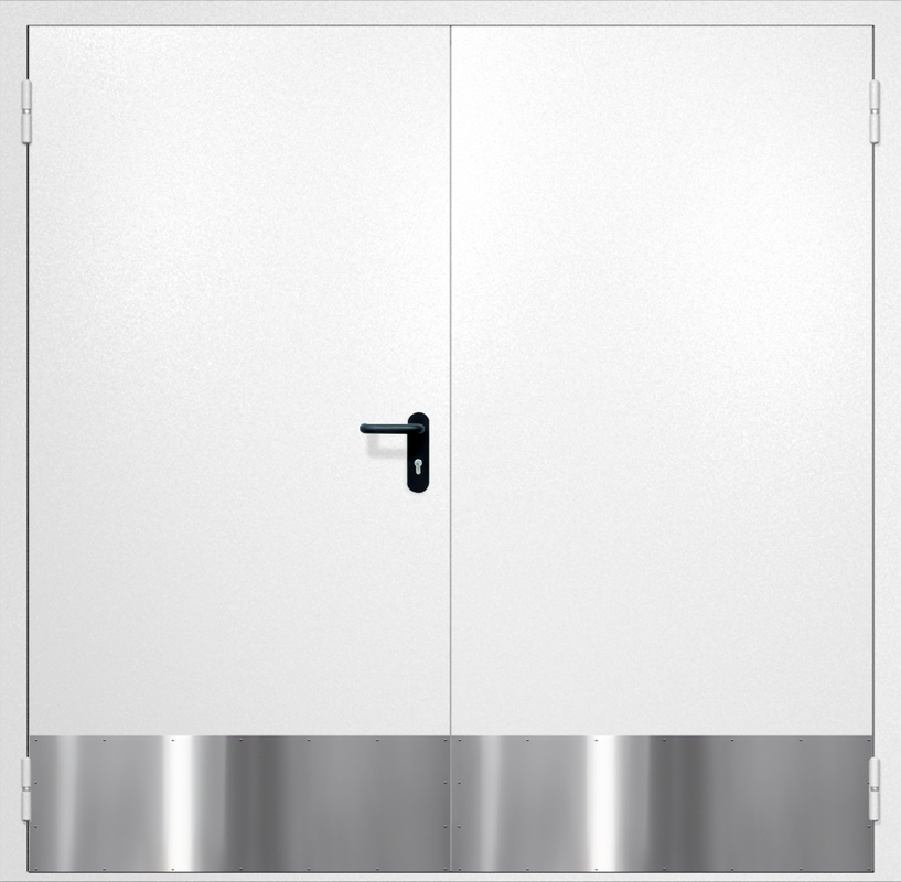 Двупольная противопожарная дверь EI-60 с отбойниками, окрас по RAL 9003