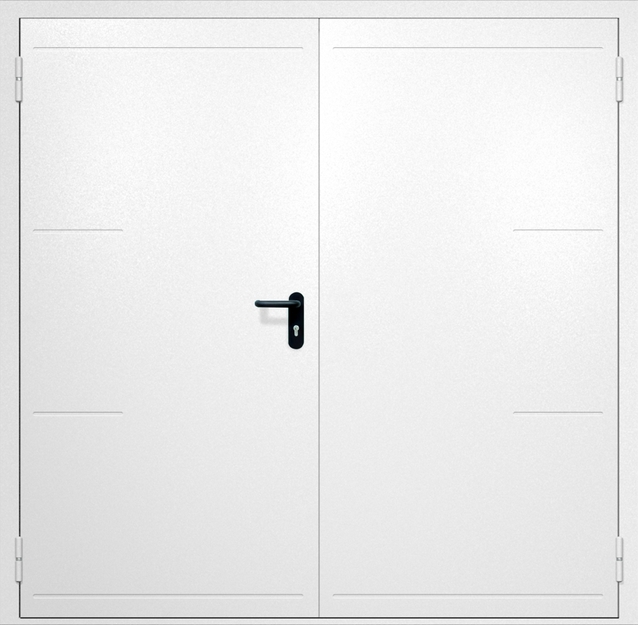 Двупольная противопожарная дверь EI-60 с рисунком на металле, окрас по RAL 9003 Двупольная противопожарная дверь EI-60 с рисунком на металле, окрас по RAL 9003