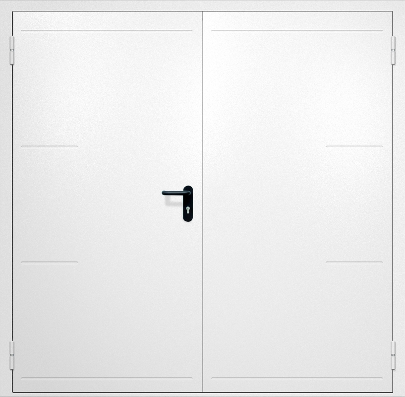 Двупольная противопожарная дверь EI-60 с рисунком на металле, окрас по RAL 9003