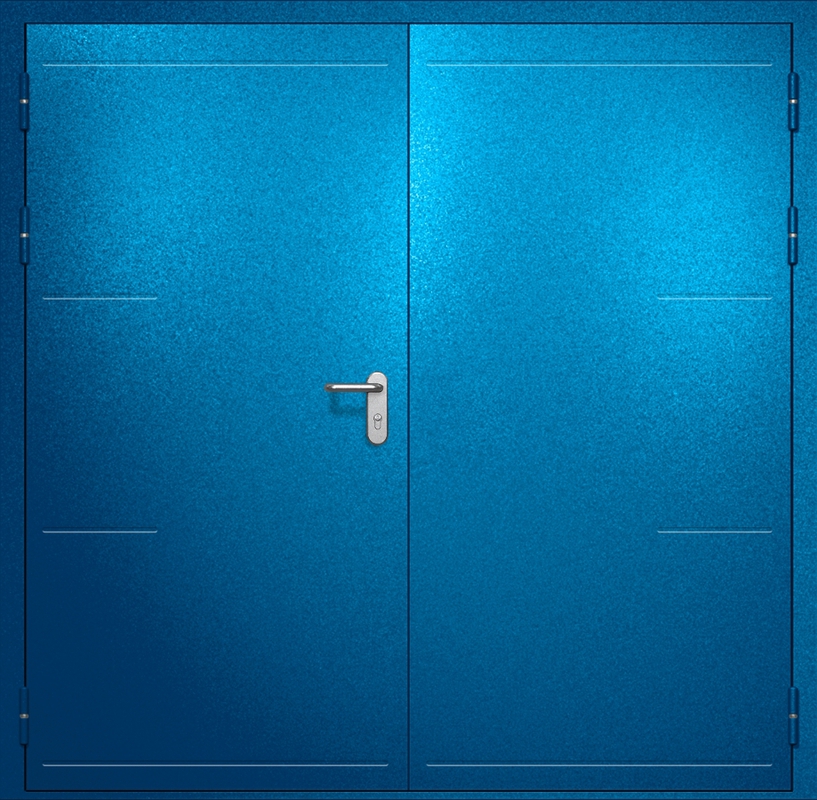 Двупольная противопожарная дверь EI-60 с рисунком на металле, окрас по RAL 5002 Двупольная противопожарная дверь EI-60 с рисунком на металле, окрас по RAL 5002