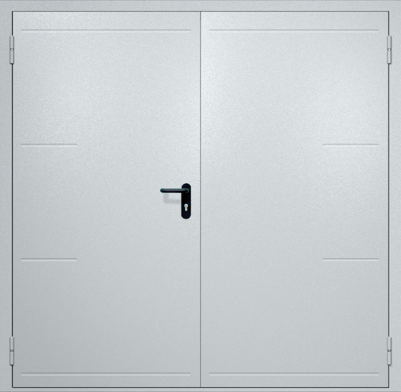 Двупольная противопожарная дверь EI-60 с рисунком на металле, окрас по RAL Двупольная противопожарная дверь EI-60 с рисунком на металле, окрас по RAL