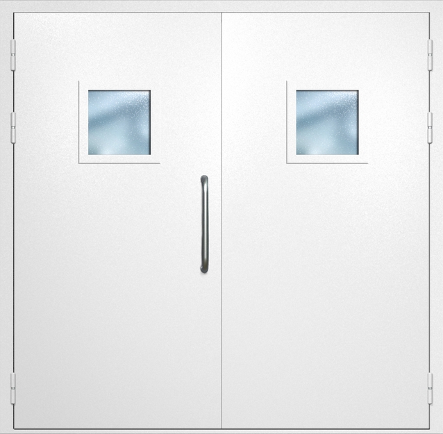 Двупольная техническая дверь с ручкой-скобой и квадратными стеклопакетами, окрас по RAL 9003