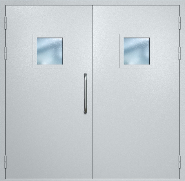 Двупольная техническая дверь с ручкой-скобой и квадратными стеклопакетами, окрас по RAL