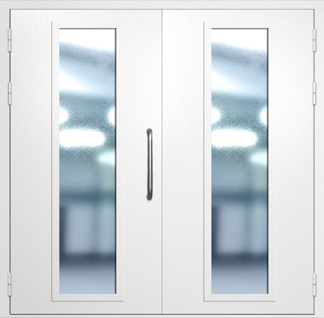 Двупольная техническая дверь с ручкой-скобой и максимальными стеклопакетами, окрас по RAL 9003