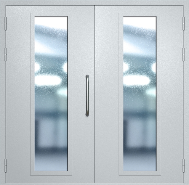 Двупольная техническая дверь с ручкой-скобой и максимальными стеклопакетами, окрас по RAL