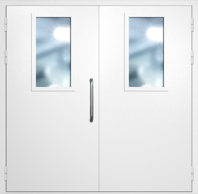 Двупольная техническая дверь с ручкой-скобой и широкими стеклопакетами, окрас по RAL 9003