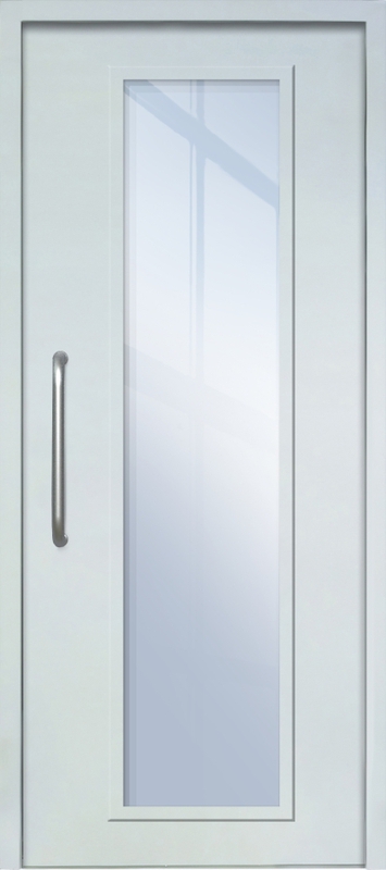 Однопольная техническая дверь с ручкой-скобой и максимальным стеклопакетом, окрас по RAL