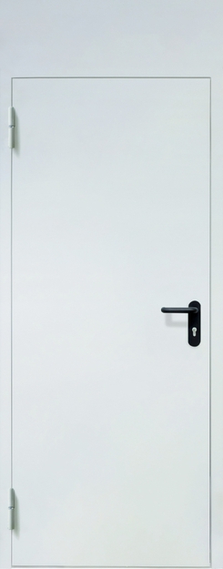 Однопольная противопожарная дверь EI-60 с верхней вставкой и ручкой «Антипаника», окрас по RAL Однопольная противопожарная дверь EI-60 с верхней вставкой и ручкой «Антипаника», окрас по RAL