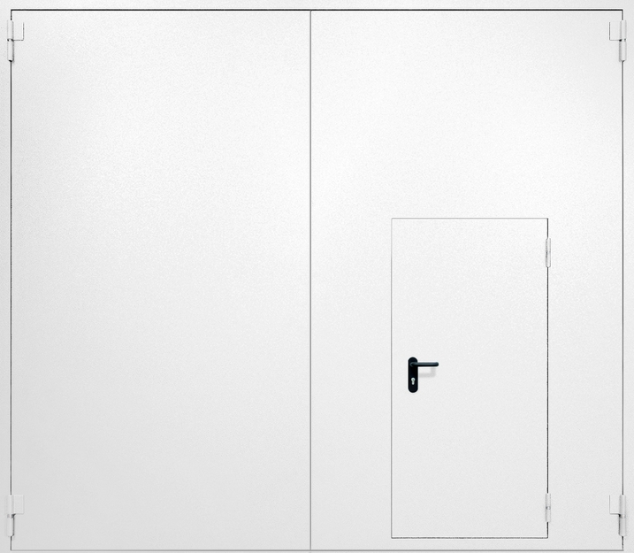 Противопожарные металлические ворота распашные с калиткой RAL 9003