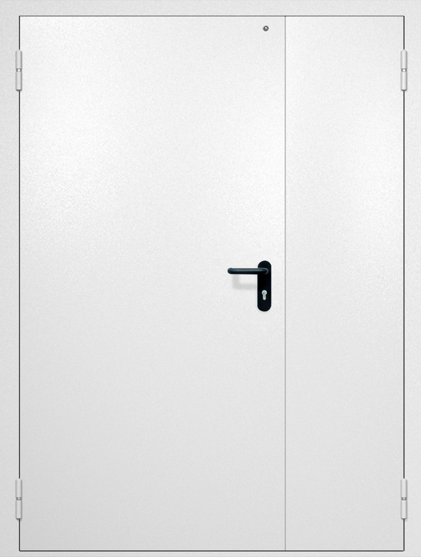 Полуторная противопожарная дверь EI-60 с электромагнитным замком, окрас по RAL 9003