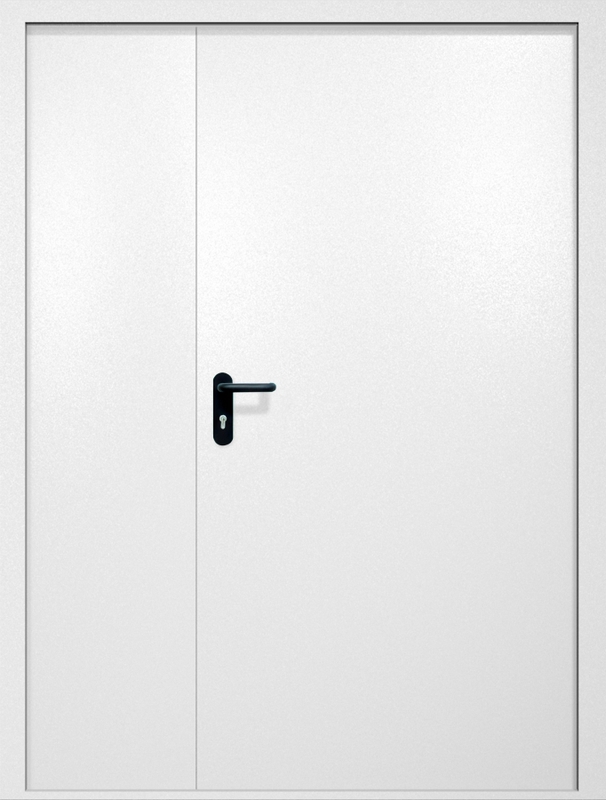 Полуторная противопожарная дверь EI-60, окрас по RAL 9003