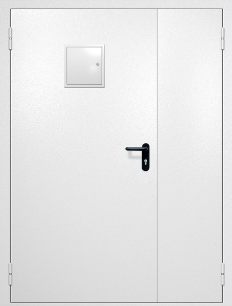 Полуторная противопожарная дверь EI-60 со стыковочным узлом сверху, окрас по RAL 9003 Полуторная противопожарная дверь EI-60 со стыковочным узлом сверху, окрас по RAL 9003
