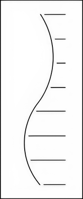 №14