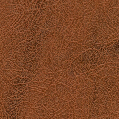 №5