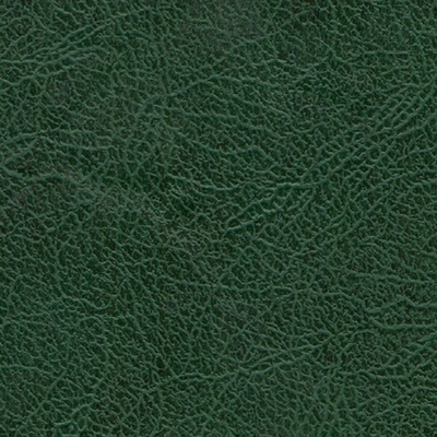 №7